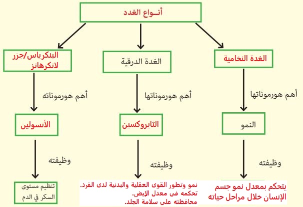 إجابة السؤال 16